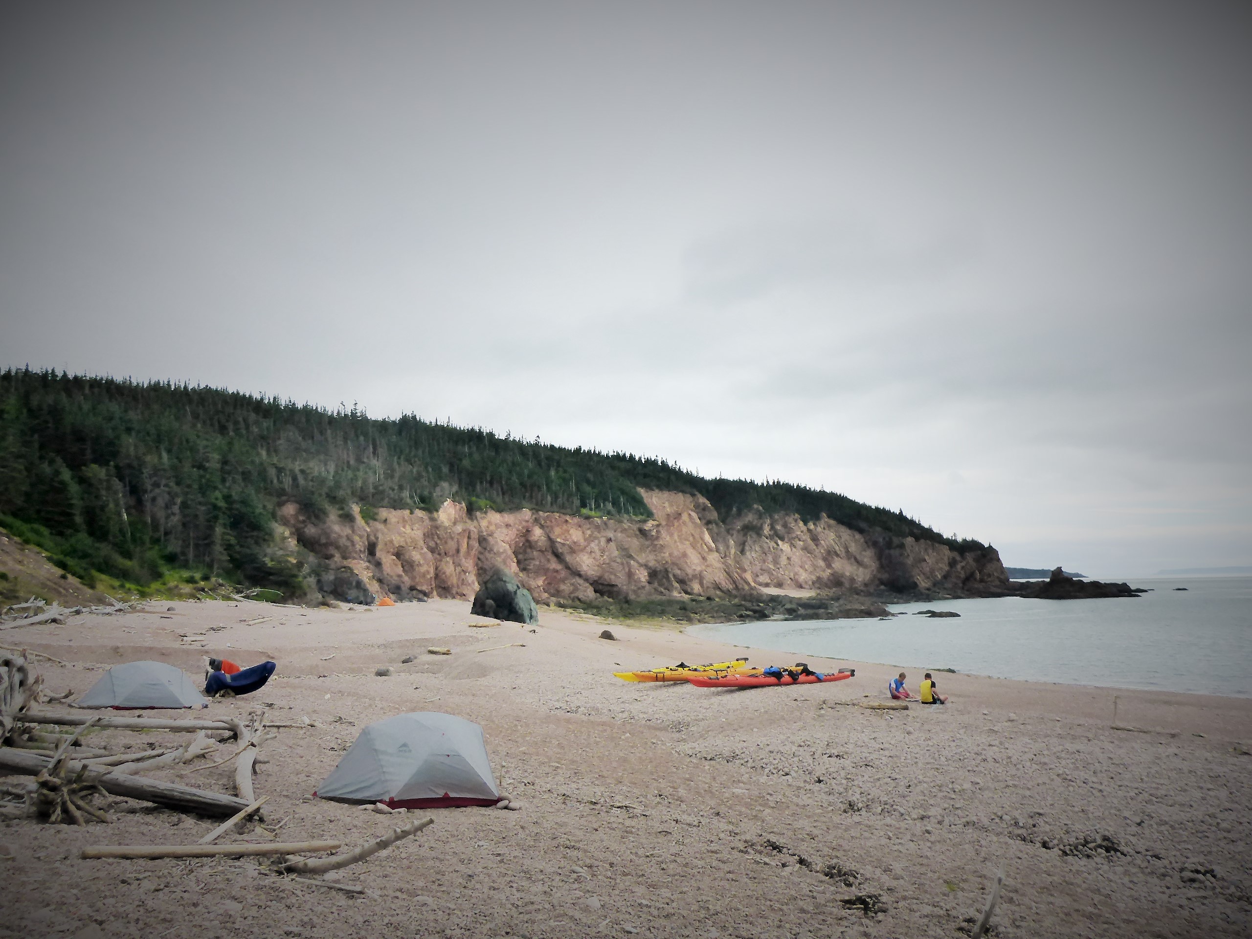 Seal Cove