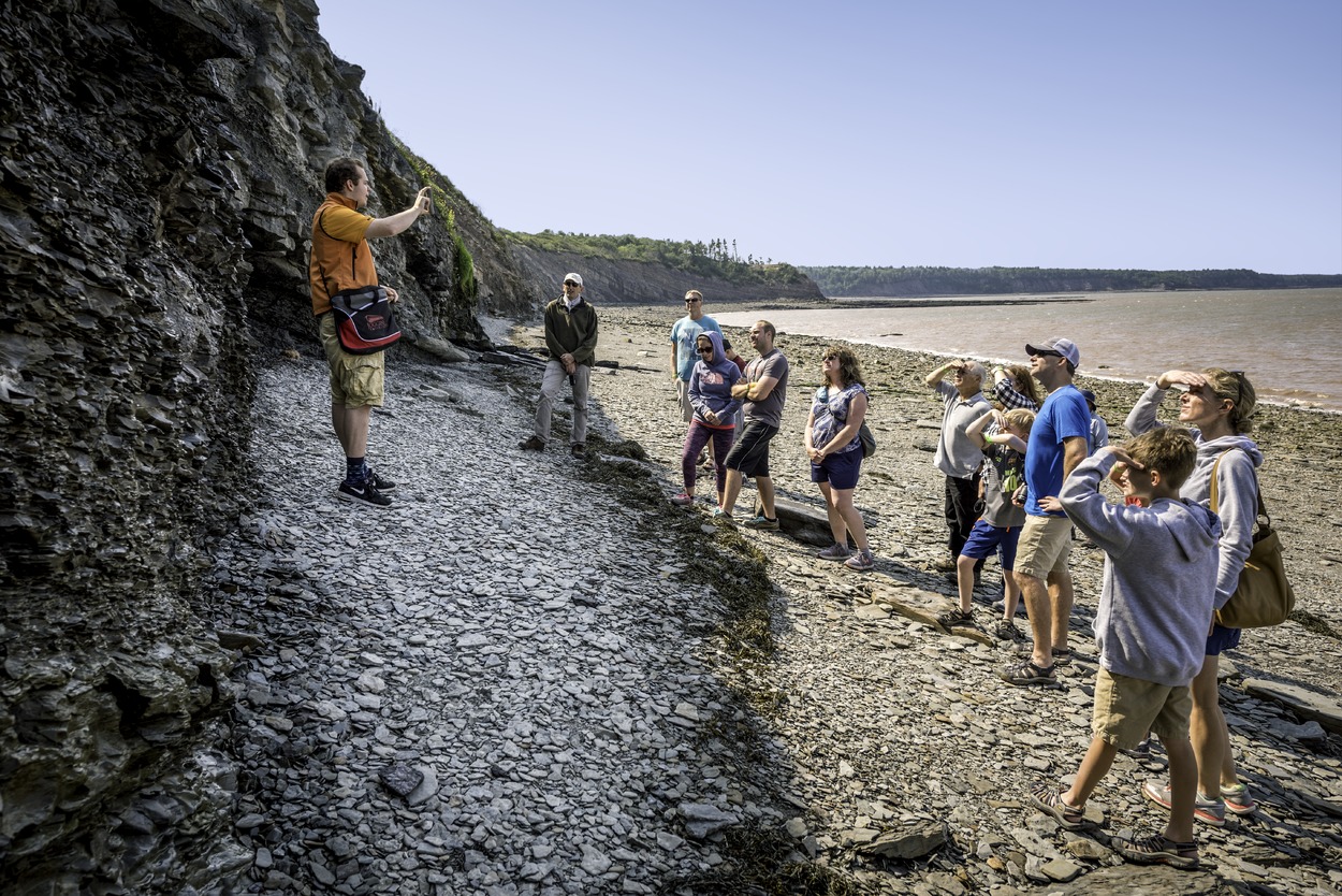 Guided beach tour at the Joggins Fossil Cliffs