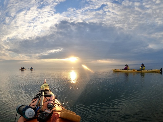 Best Kayaking in Nova Scotia